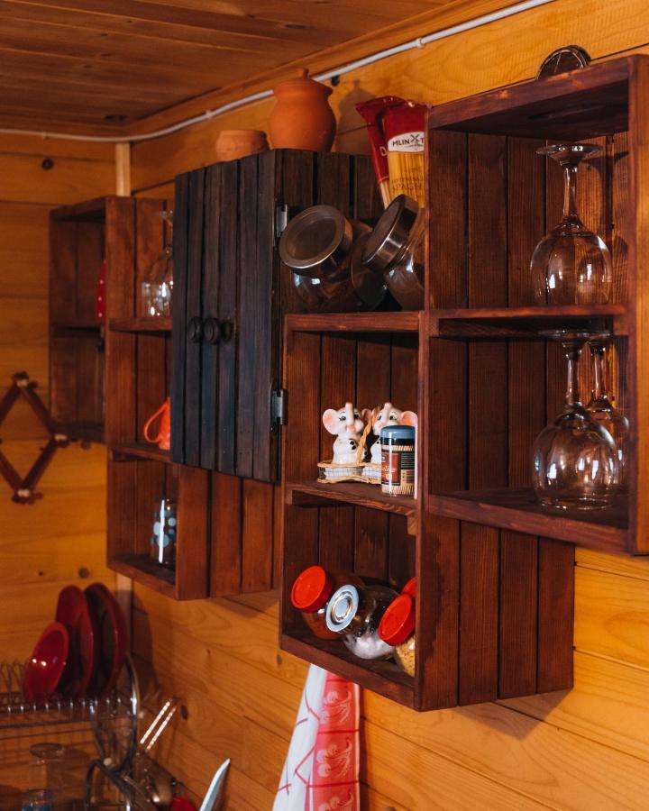 Apartman Pustolov - Stara Planina Crni Vrh エクステリア 写真