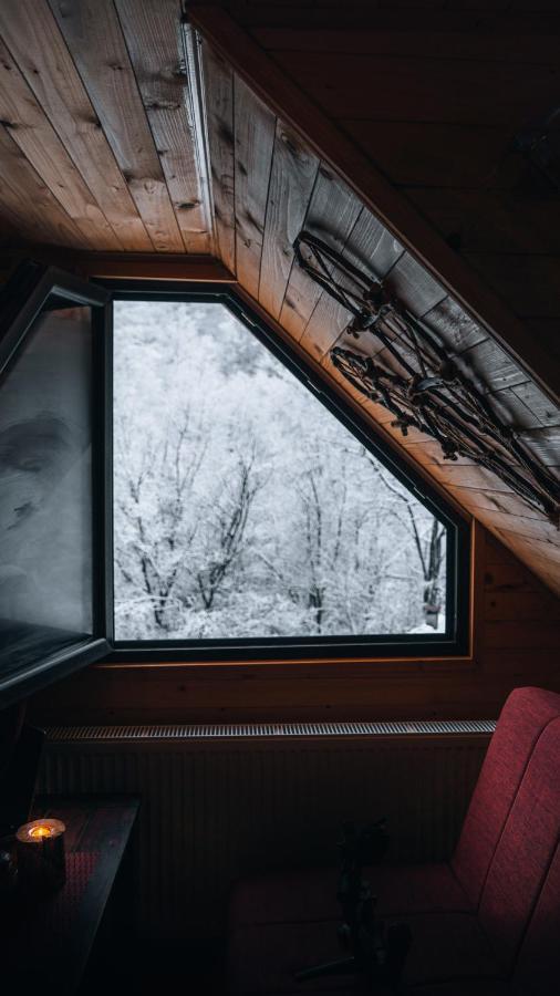 Apartman Pustolov - Stara Planina Crni Vrh エクステリア 写真